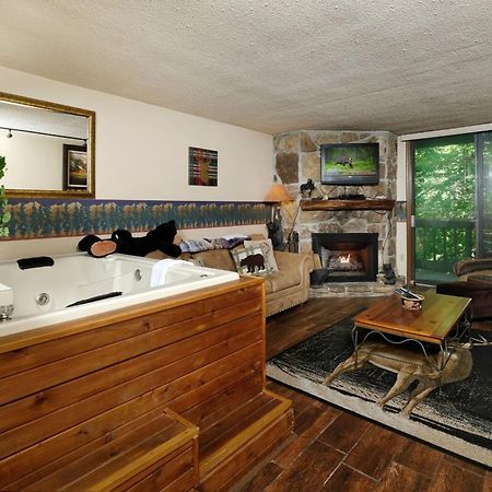 Bear Creek 167 Villa Gatlinburg Ngoại thất bức ảnh