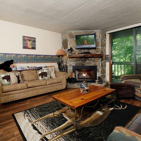 Bear Creek 167 Villa Gatlinburg Ngoại thất bức ảnh